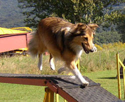 Image Hosted by ImageShack.us